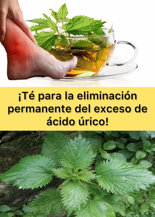 Té de Ortiga