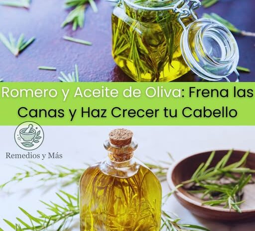 Frena las Canas y Estimula el Crecimiento del Cabello con Romero y Aceite de Oliva