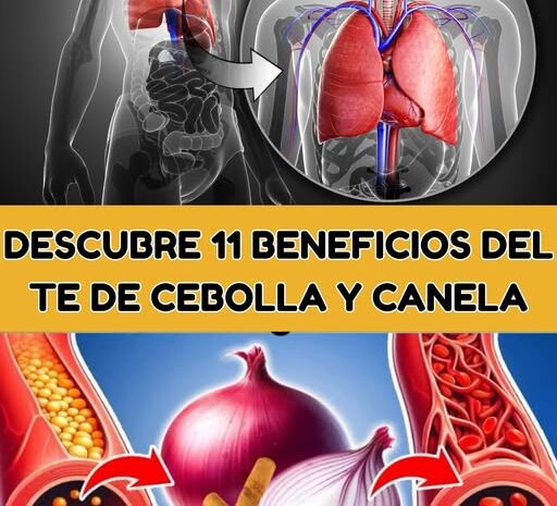 11 Beneficios del Té de Cebolla y Canela que Te Sorprenderán