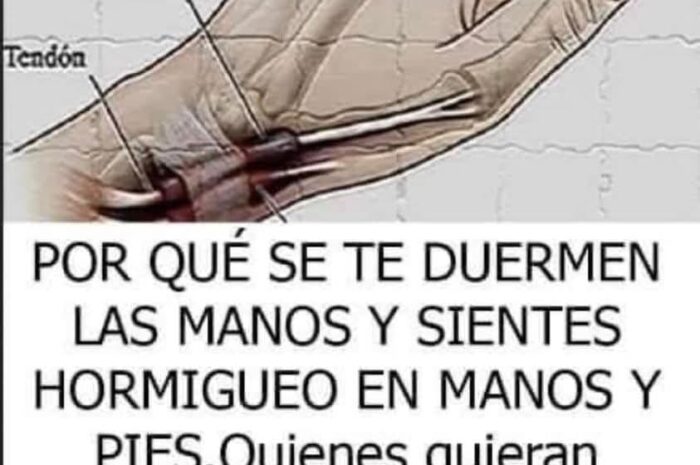 Por Qué Se Te Duermen Las Manos: Causas y Remedios Naturales