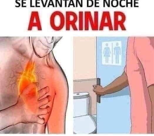 Orinar Frecuentemente por la Noche: Causas y Remedios Naturales