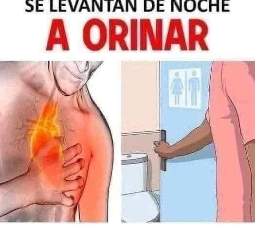 Micción Nocturna: ¿Qué Significa Para Tu Salud Cardiaca?