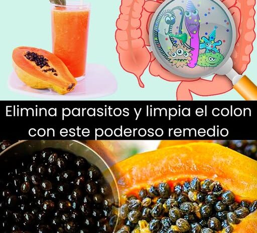 Papaya y Semillas: El Dueto Natural para Limpiar el Colon y Eliminar Parásitos