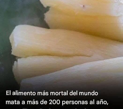 Yuca: El Alimento Mortal y Cómo Consumirlo de Manera Segura