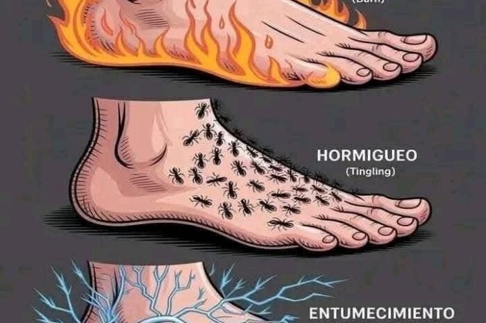 Señales en tus PIES: ¿Qué indican y cómo cuidarlos?