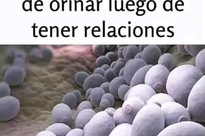 La Importancia de Orinar Después de las Relaciones: Salud y Prevención