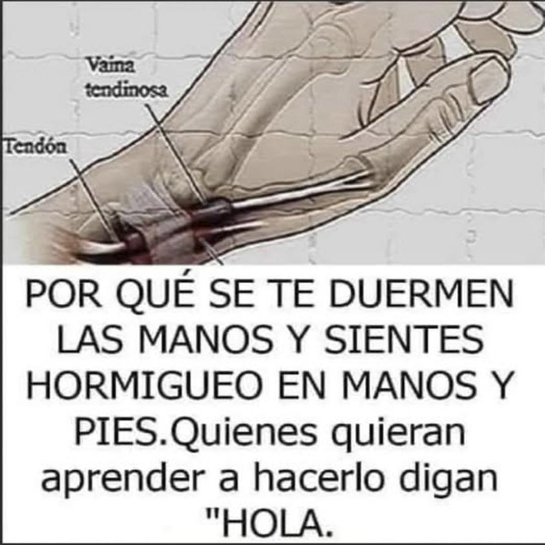 Dibujo de mano con etiquetas 'vaina tendinosa' y 'tendón'