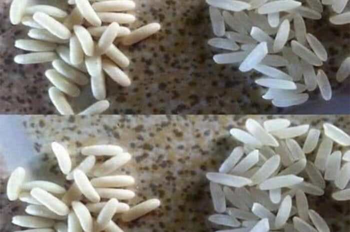 Cómo Identificar el Arroz Real y el Falso: Una Guía Práctica
