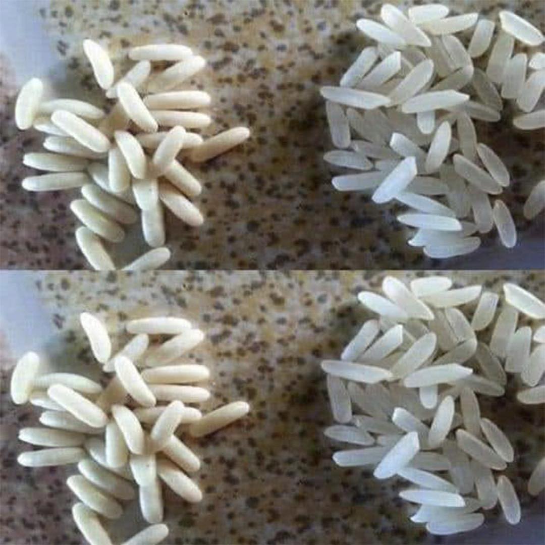 Comparativa entre arroz real y arroz de plástico