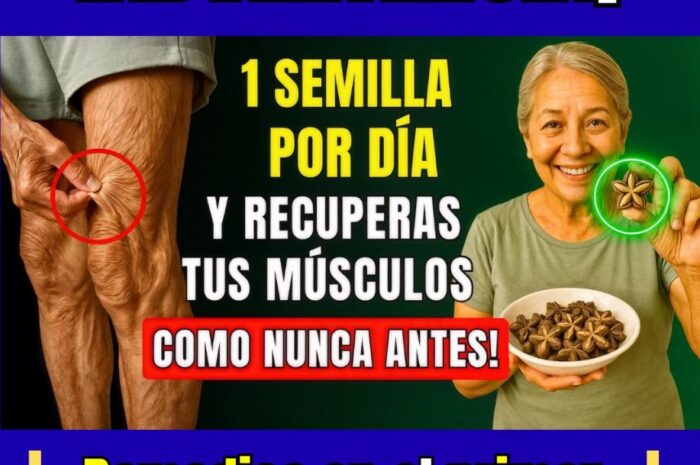 10 Semillas Milagrosas para Fortalecer Huesos y Músculos en Adultos Mayores