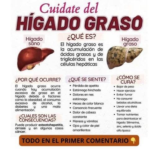 Comparación entre un hígado sano y uno graso