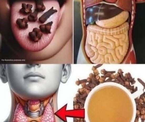 Clavos de Olor: Un Remedio Natural para la Salud