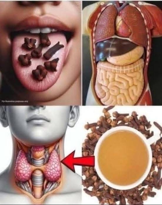 Clavos de Olor y sus Beneficios para la Salud