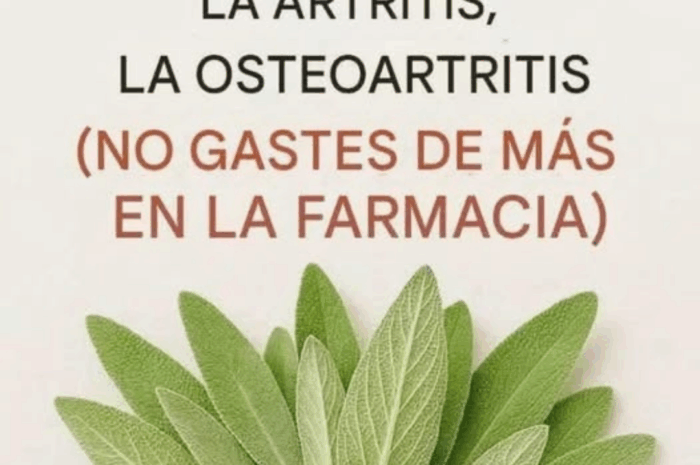 Descubre los Infinito Beneficios de la Salvia para la Salud