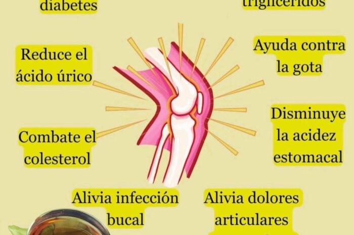 Beneficios del Té de Laurel en Ayunas: Un Regalo para la Salud