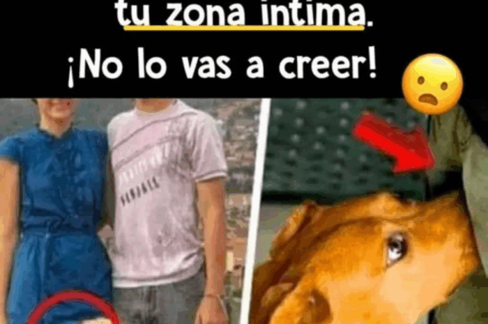 La Curiosa Razón por la que los Perros Huelen Tu Zona Íntima