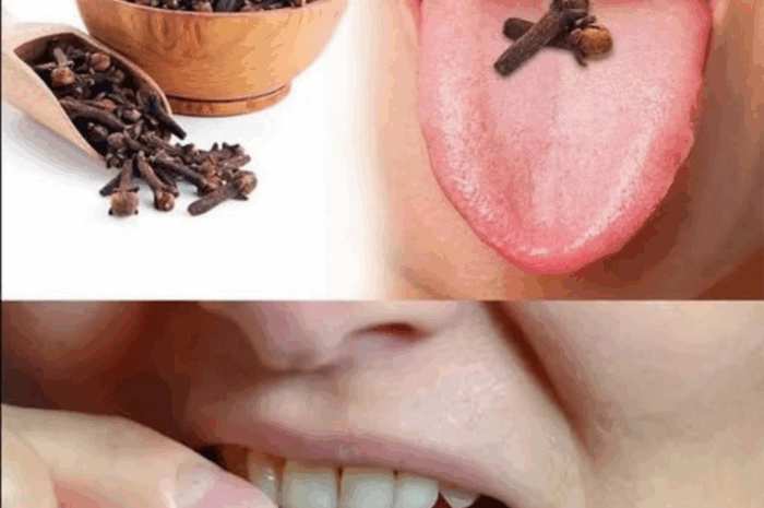 Los Poderes Conocidos del Clavo de Olor: Beneficios Inesperados para tu Salud