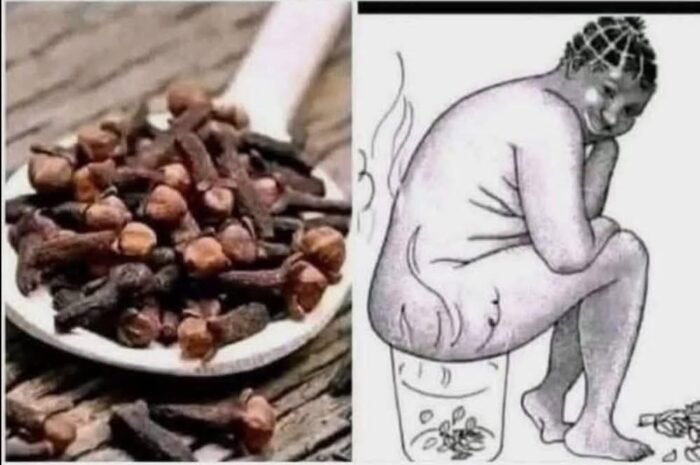 Descubre el Poder del Clavo de Olor: Remedios Naturales para el Bienestar Femenino