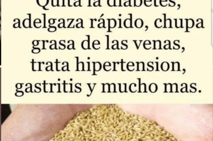 La Semilla Milagrosa: Mitos y Realidades Sobre Sus Beneficios para la Salud