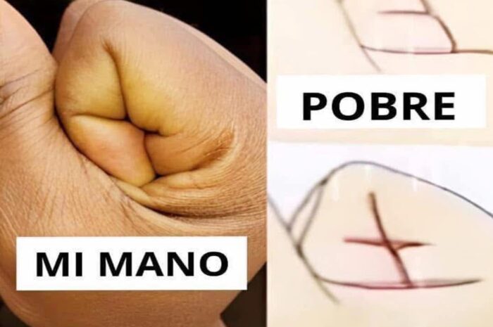 El Secreto de Nuestra Mano: Reflexiones sobre Riqueza y Bienestar a Través de la Salud y los Remedios Naturales