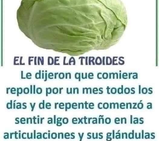 Los Efectos del Repollo en la Salud de la Tiroides y las Articulaciones