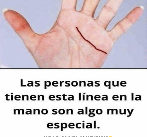 Descubre Lo Que Revela Tu Mano: Quiromancia y Bienestar