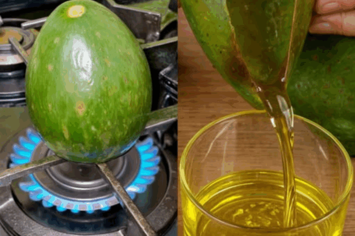 Cómo Hacer Aceite de Aguacate en Casa: Receta Simple y Saludable