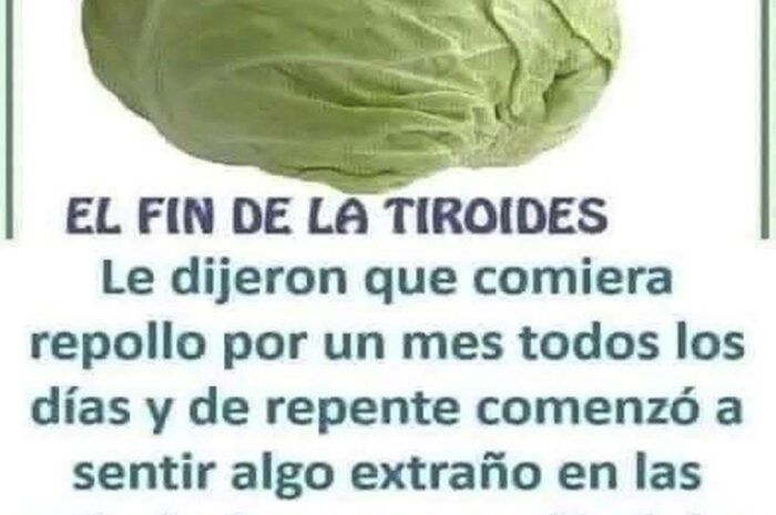 Repollo y Salud de la Tiroides: Mitos y Realidades