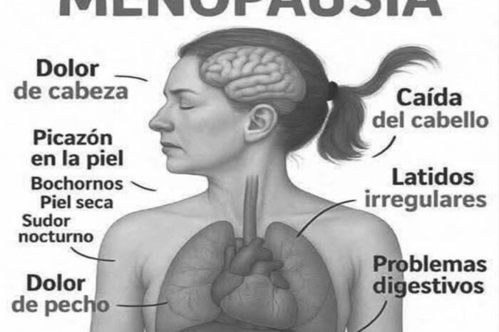 Consejos para una Menopausia Feliz y Saludable