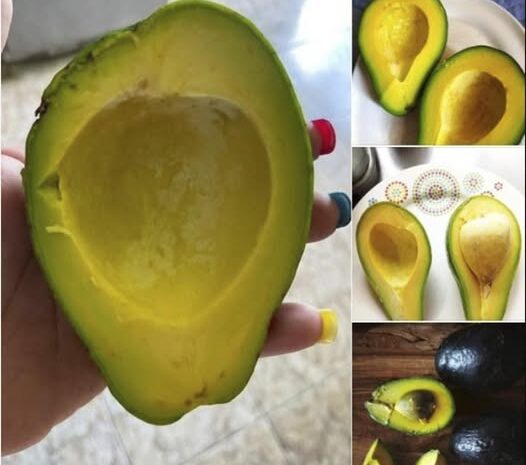 Beneficios del Aguacate: Protegiéndote de Enfermedades