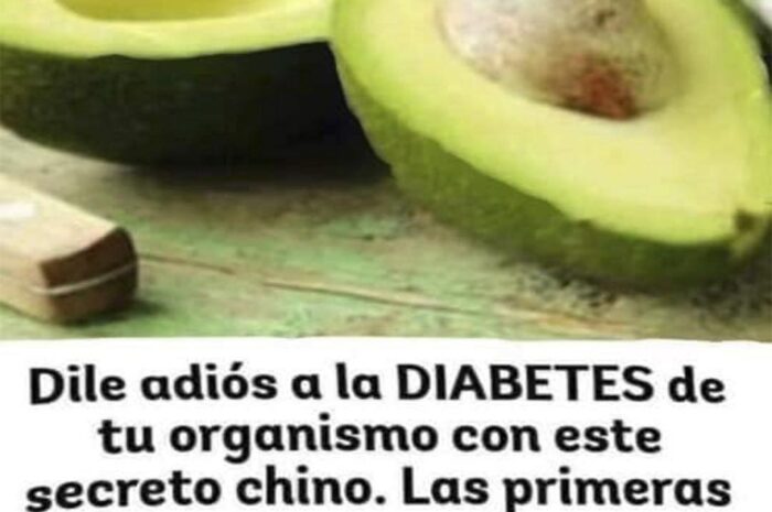 Los Sorprendentes Beneficios del Aguacate para Tu Salud