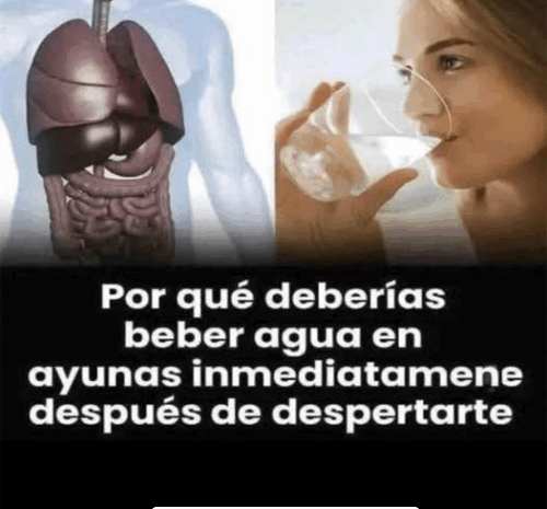 Los Beneficios de Beber Agua en Ayunas: La Clave para Comenzar el Día