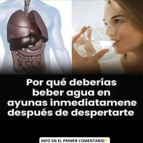 Por qué deberías beber agua en ayunas inmediatamente después de despertarte