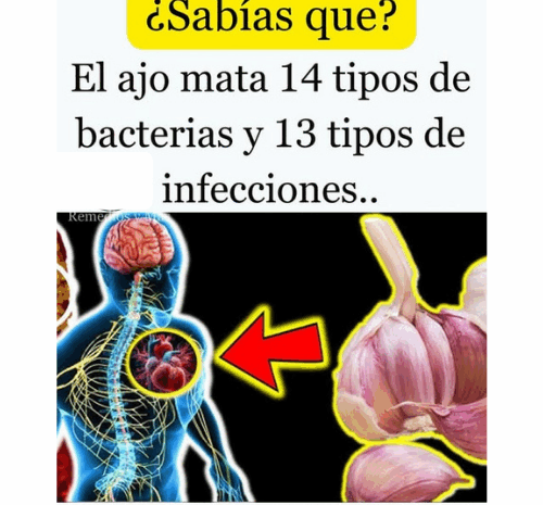 Los Poderosos Beneficios del Ajo: Combatiendo Bacterias e Infecciones de Forma Natural