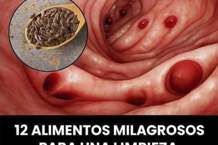 12 Alimentos Milagrosos para una Limpieza Natural del Colon