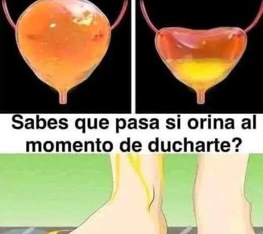 Orinar en la Ducha:  Lo Que Debes Saber Sobre Esta Práctica Común