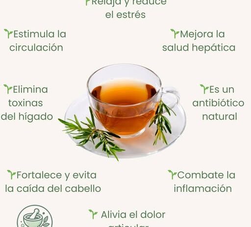 Beneficios del Té de Romero en Ayunas para la Salud