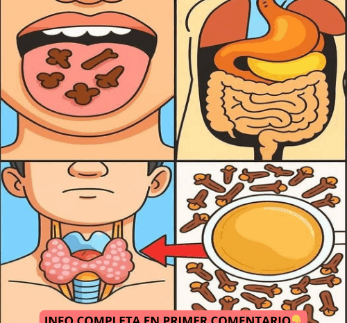Los Sorprendentes Beneficios de los Clavos de Olor para tu Salud