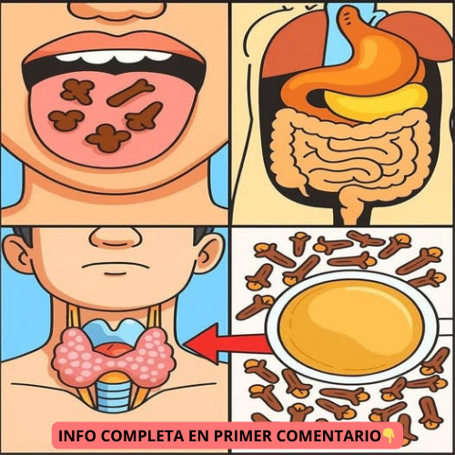 Beneficios de los clavos de olor para la salud