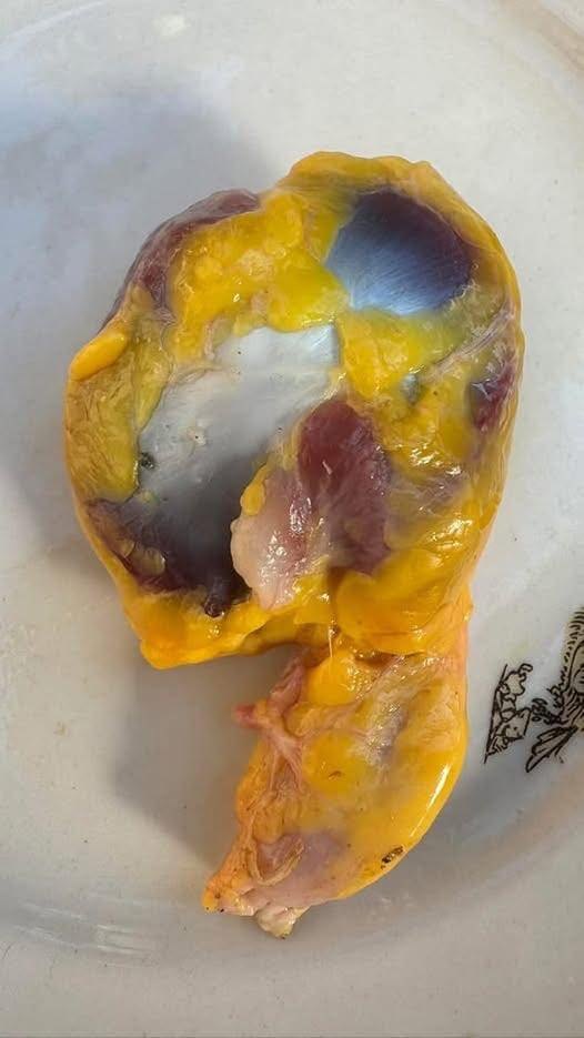 Mollejas de pollo