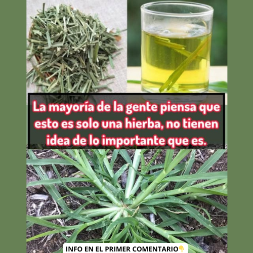 Té de hierba