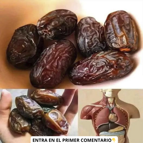 Dátiles como fruta poderosa para la salud