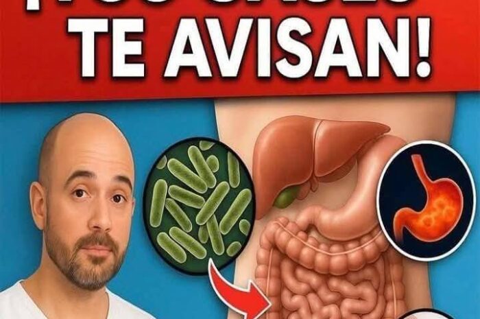 Gases Intestinales: Lo que Tu Cuerpo te Está Avisando