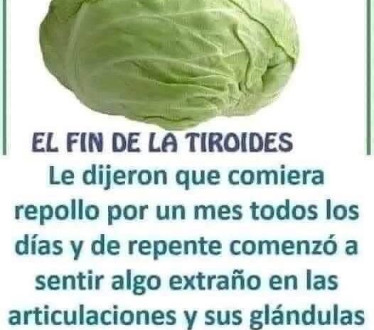 El Repollo y Su Influencia en la Salud de la Tiroides y las Articulaciones