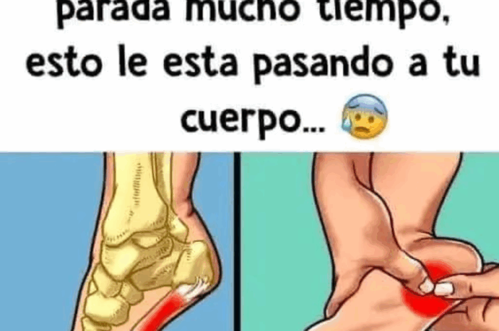 Dolor en el Talón: Causas, Síntomas y Remedios Naturales