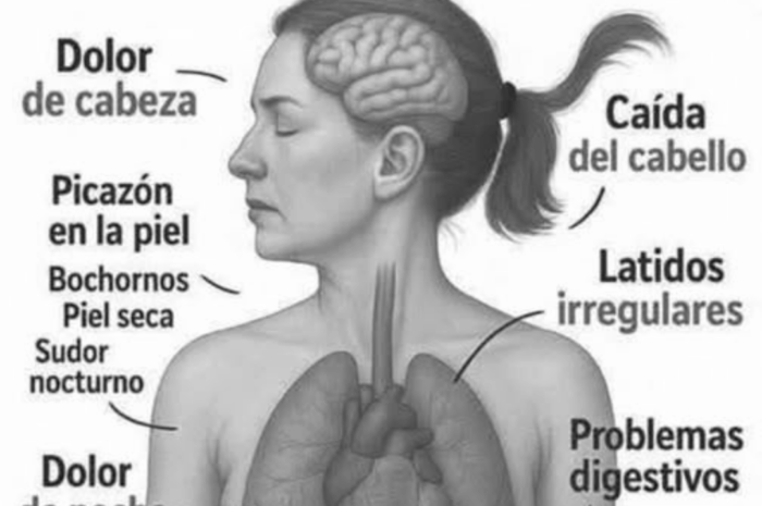 Sintomas de la Menopausia que Debes Saber: Guía Completa