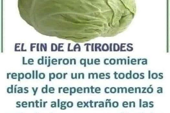 El Repollo: ¿Beneficioso o Perjudicial para la Tiroides?