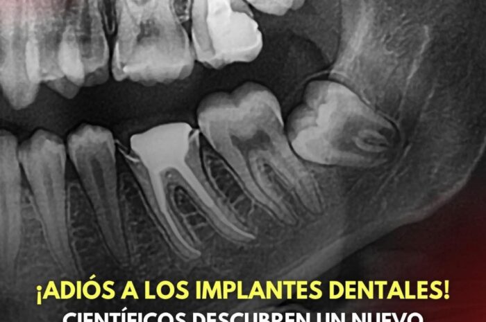 Nueva Tecnología en Odontología: Dientes que Crecen Naturalmente