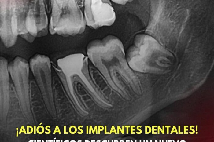 Revolucionario Método para el Crecimiento Dental: Una Alternativa a los Implantes Dentales