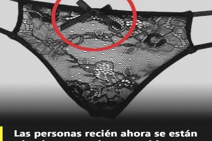 ¿El Lazo de la Ropa Interior Femenina? La Comodidad y Funcionalidad Oculta